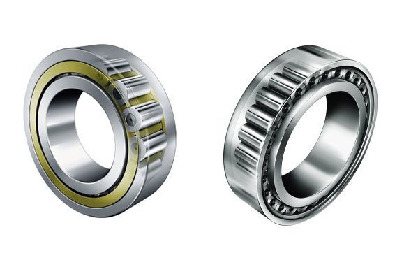 Cutaway of Cylindrical Rolling Bearings